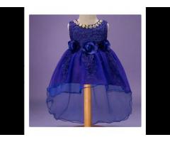 Beautiful Floral Applique Flared Party Dress - Blue