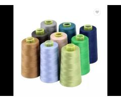 20/2 40/2 60/2High Tenacity 100%Spun Polyester Sewing Thread&Polyester - Image 2