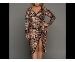 2022 Hot Sale Leopard Wrap V Neck Dresses For Women Sexy V Neck Plus Size Dress - Image 2