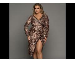 2022 Hot Sale Leopard Wrap V Neck Dresses For Women Sexy V Neck Plus Size Dress - Image 3